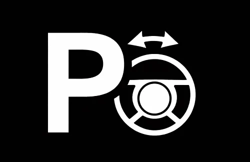 Automatic Parking Assist Indicator