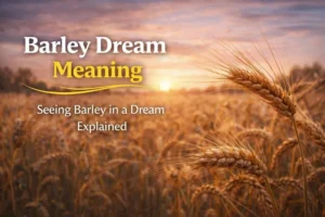 barley dream meaning interpretation seeing barley dream symbolism