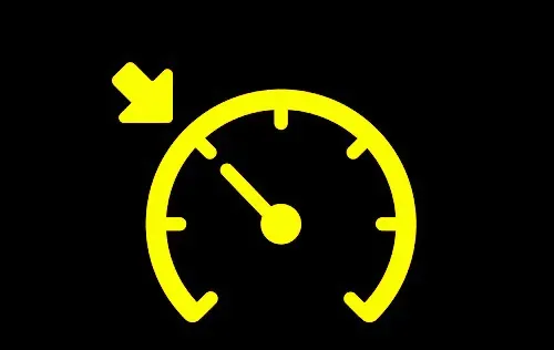 Cruise Control Indicator