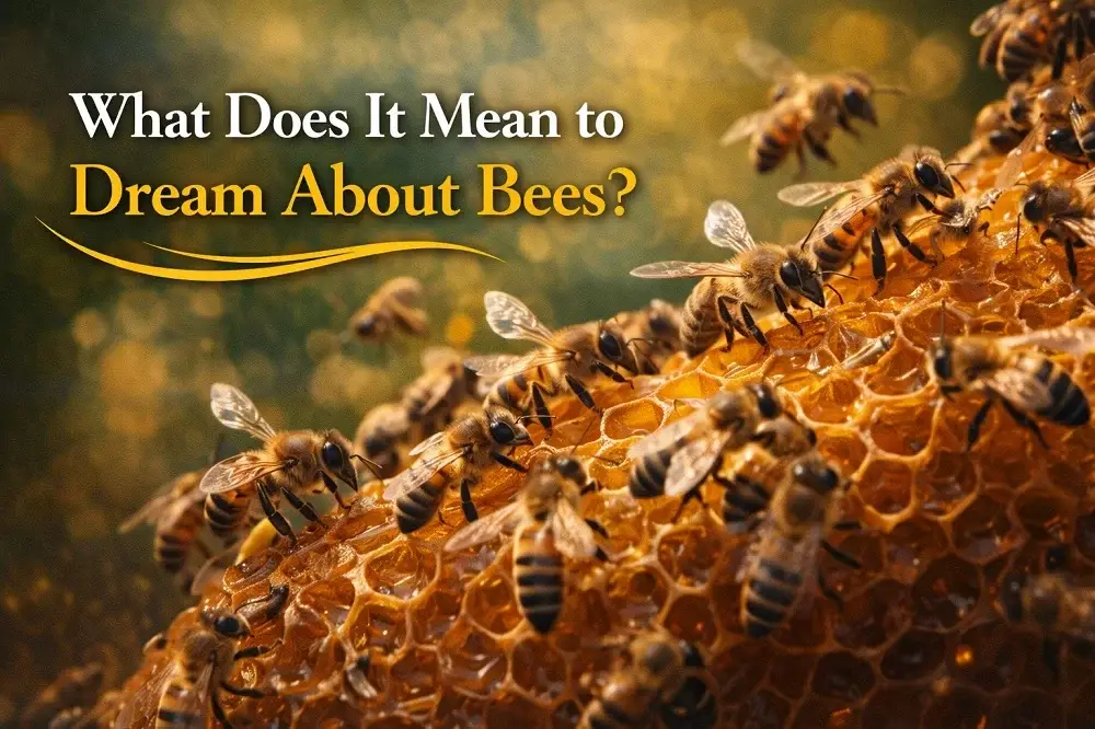 Dream About Bees Meaning