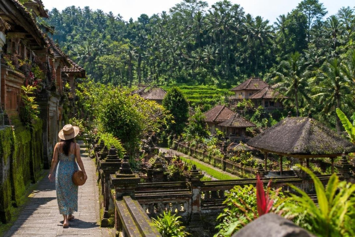 Afternoon: Check In and Explore Ubud
