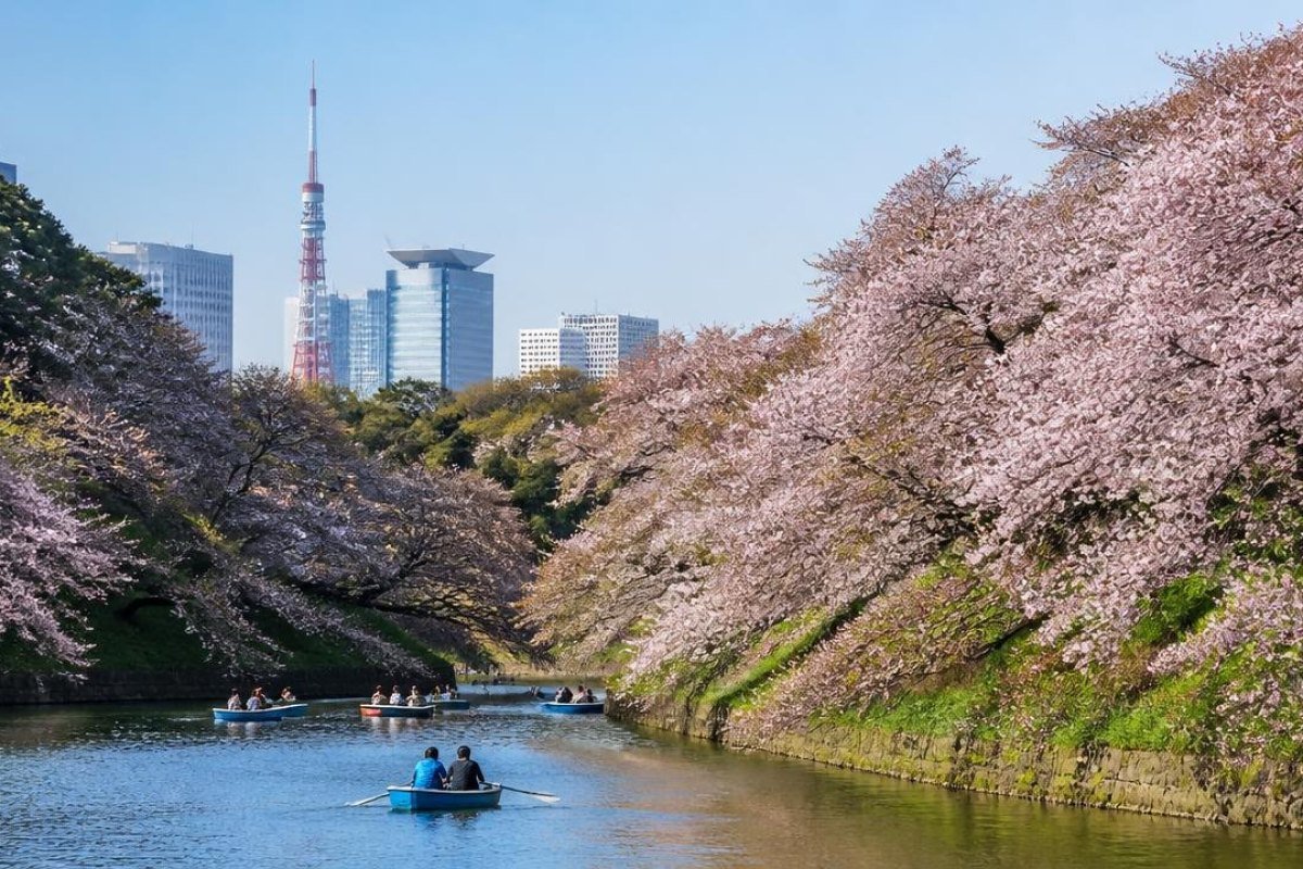 Best Time to Visit Tokyo