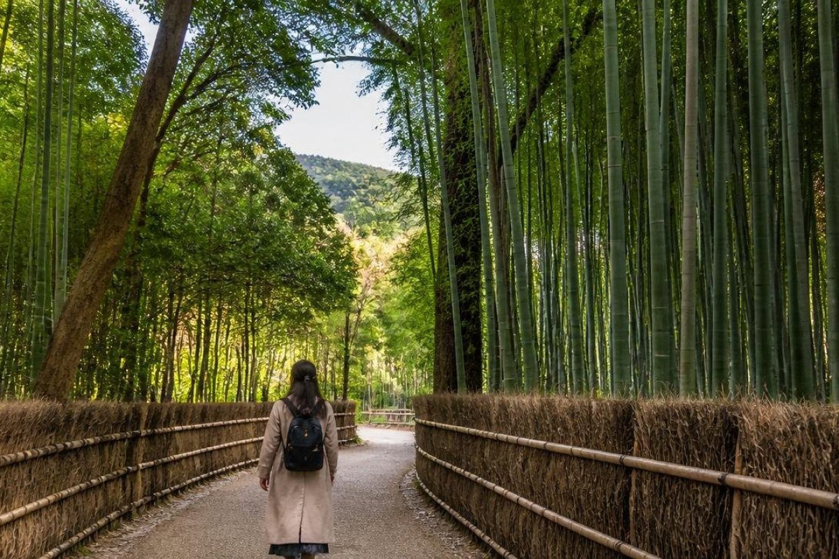 Day 5: Arashiyama and a Slower Kyoto Experience