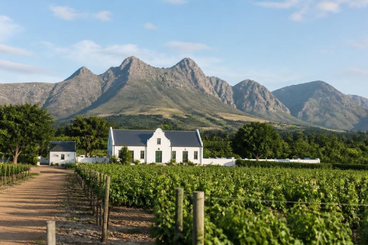 Spend a day in Stellenbosch