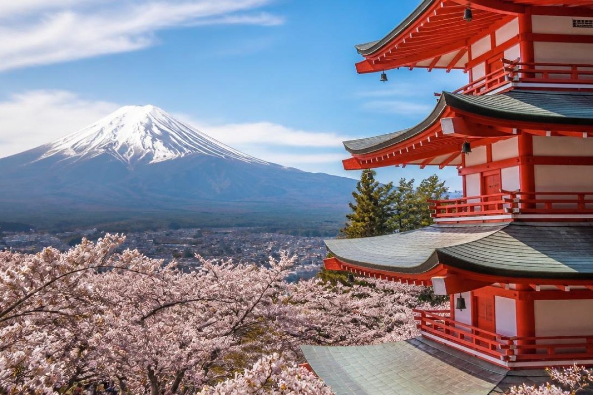 The Best Time to Visit Japan: A Seasonal Guide to Weather, Crowds, and Festivals