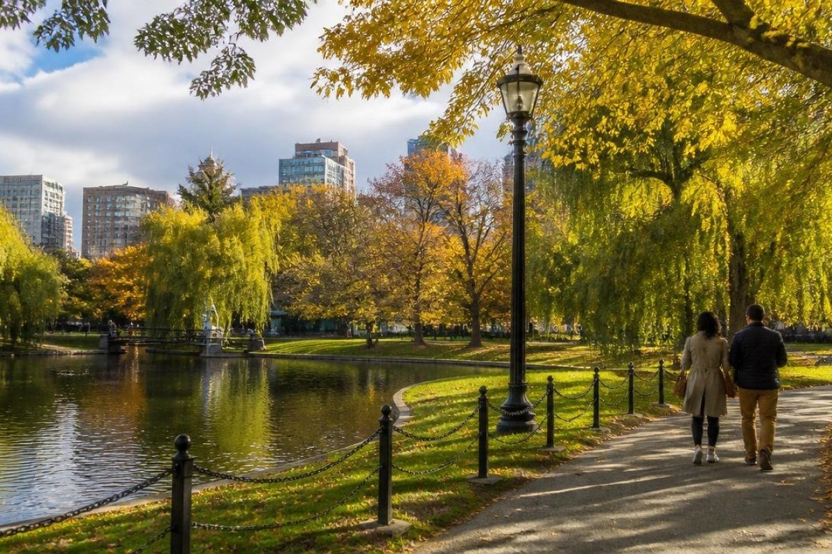 Walk Through the Public Garden and Beacon Hill