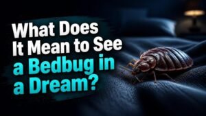 What Does It Mean to See a Bedbug in a Dream?