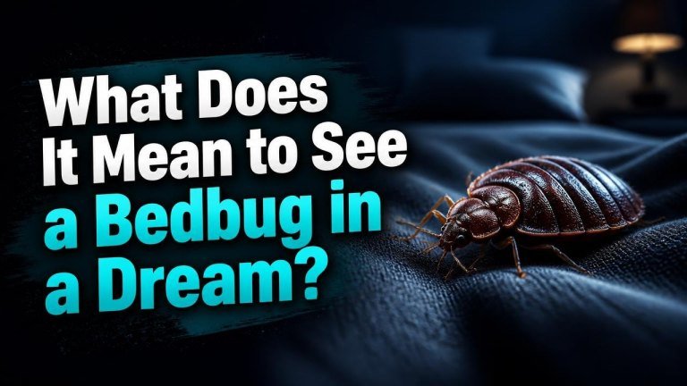 What Does It Mean to See a Bedbug in a Dream?