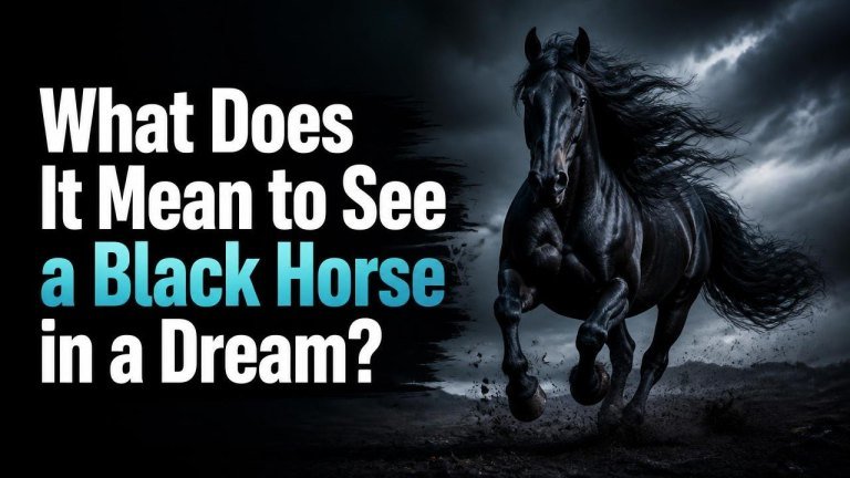 What Does It Mean to See a Black Horse in a Dream?