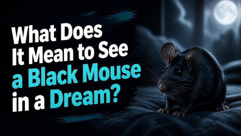 What Does It Mean to See a Black Mouse in a Dream?