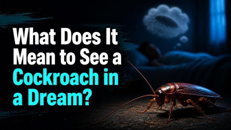 What Does It Mean to See a Cockroach in a Dream?