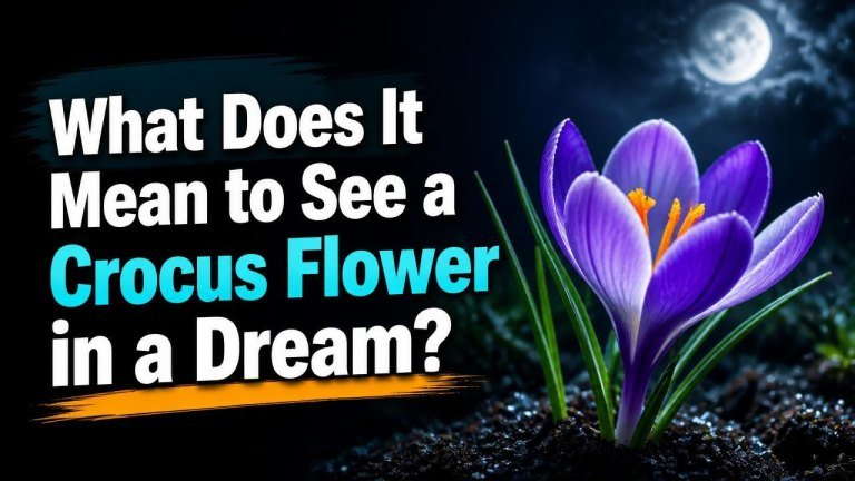 What Does It Mean to See a Crocus Flower in a Dream?
