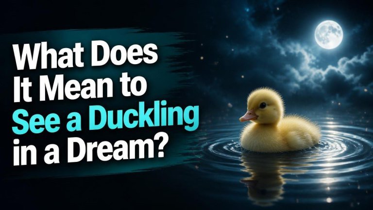 What Does It Mean to See a Duckling in a Dream?