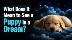 What Does It Mean to See a Puppy in a Dream?