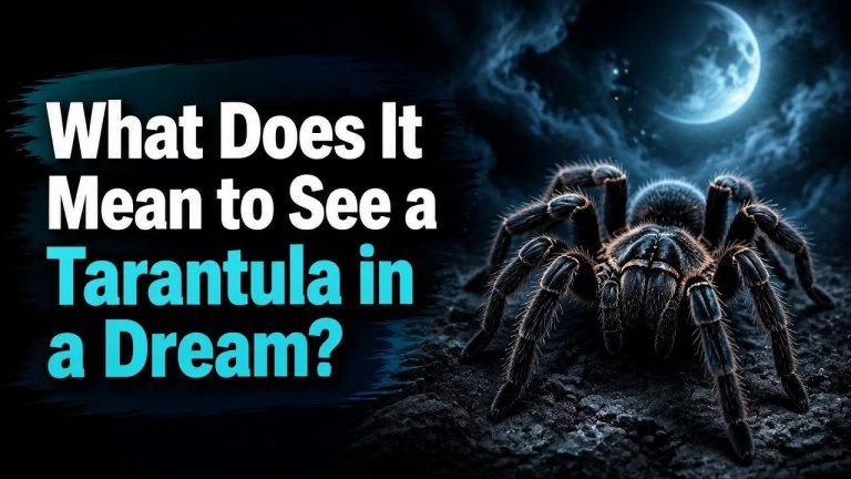 What Does It Mean to See a Tarantula in a Dream?