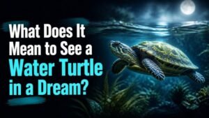 What Does It Mean to See a Water Turtle in a Dream?