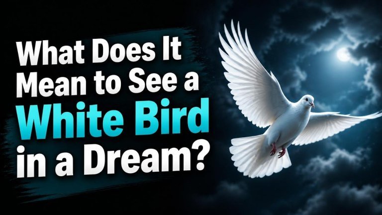 What Does It Mean to See a White Bird in a Dream?