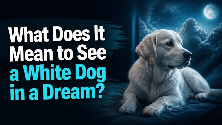 What Does It Mean to See a White Dog in a Dream?