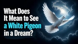 What Does It Mean to See a White Pigeon in a Dream?