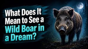 What Does It Mean to See a Wild Boar in a Dream?