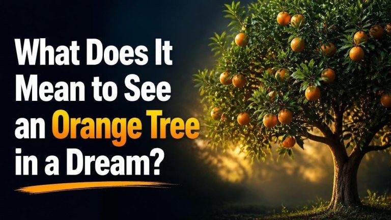 What Does It Mean to See an Orange Tree in a Dream?