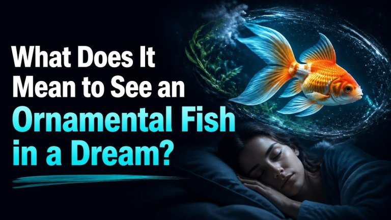 What Does It Mean to See an Ornamental Fish in a Dream?