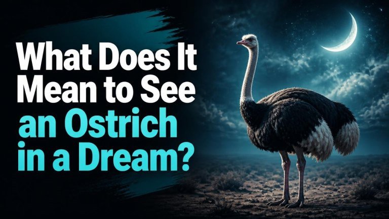 What Does It Mean to See an Ostrich in a Dream?