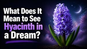 What Does It Mean to See Hyacinth in a Dream?