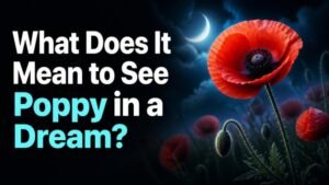 What Does It Mean to See Poppy in a Dream?