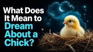 What Does It Mean to Dream About a Chick?