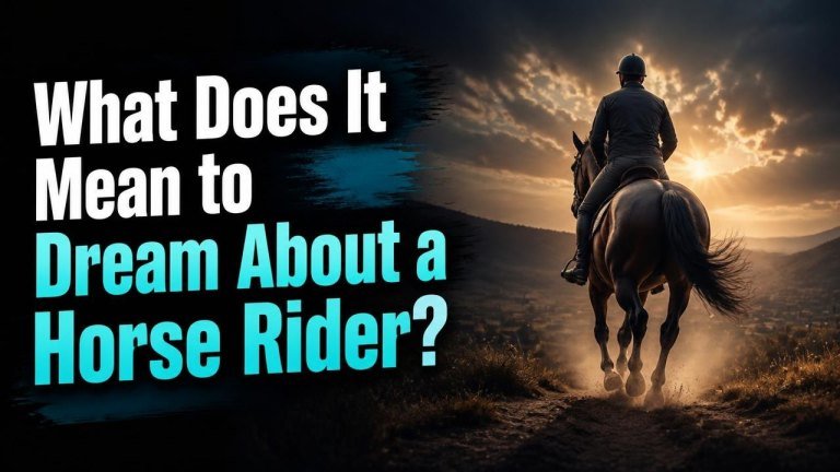 What Does It Mean to Dream About a Horse Rider?