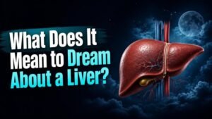What Does It Mean to Dream About a Liver?