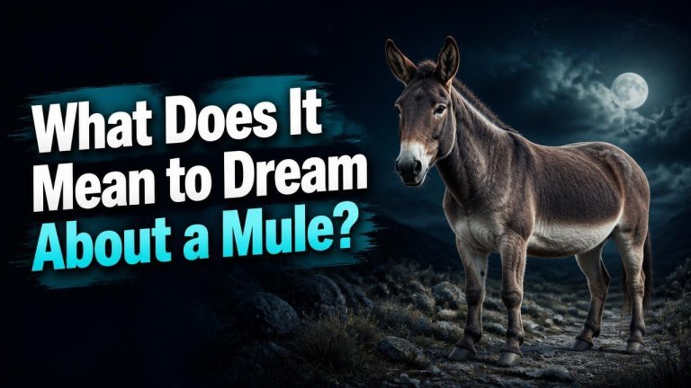 What Does It Mean to Dream About a Mule?