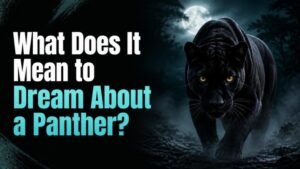 What Does It Mean to Dream About a Panther?