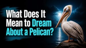 What Does It Mean to Dream About a Pelican?