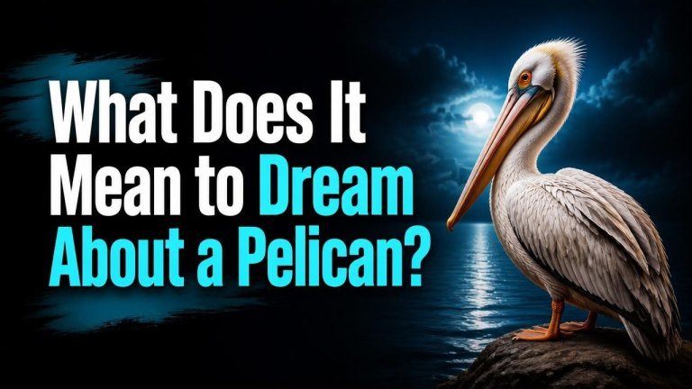 What Does It Mean to Dream About a Pelican?