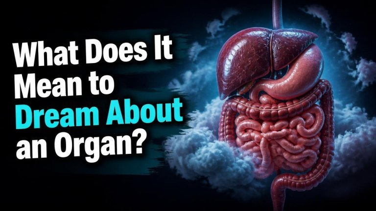 What Does It Mean to Dream About an Organ?
