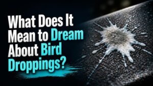 What Does It Mean to Dream About Bird Droppings?