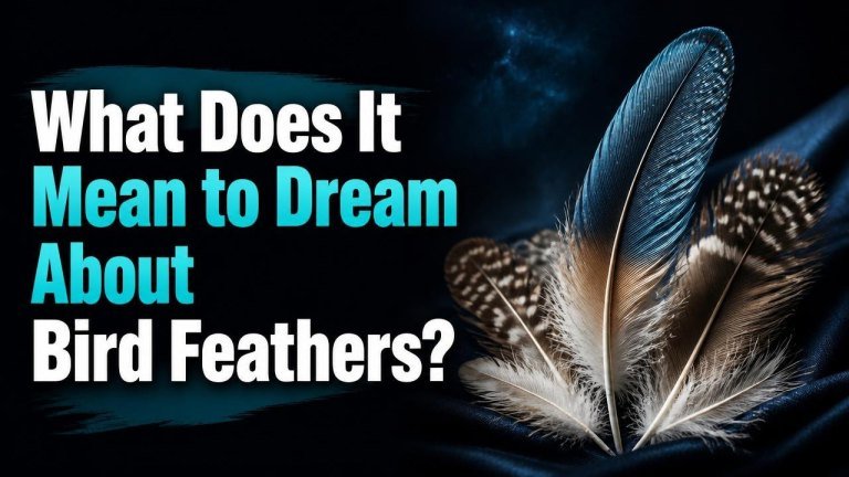 What Does It Mean to Dream About Bird Feathers?