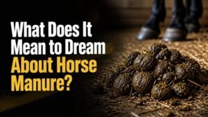 What Does It Mean to Dream About Horse Manure?